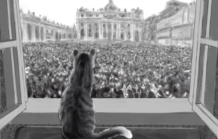 Margaret from The Pope's Cat looking out on the Square. Illustration by Roy Deleon, courtesy of Paraclete Press.