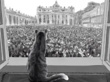 Margaret from The Pope's Cat looking out on the Square. Illustration by Roy Deleon, courtesy of Paraclete Press.