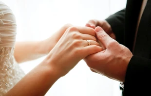 null Credit: Alex Studio/Shutterstock