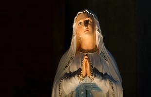 Adam Jan Figel / Shutterstock.