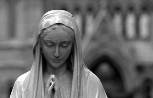 The Virgin Mary.   David McTavish / Shutterstock.