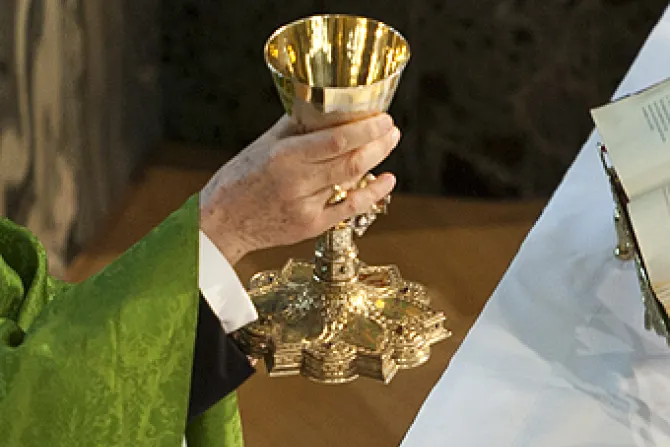 Mass Communion Eucharist Credit Mazur catholicnewsorguk CC BY NC SA 20 CNA 10 28 13