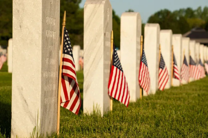 Memorial Day Military Cemetery Credit Arina P Habich  Shutterstock  