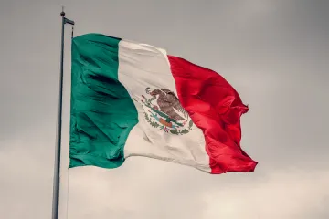 Mexican flag Credit Daniel Carnielli  Shutterstock