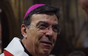 Archbishop Michel Aupetit, pictured in 2015 at Notre-Dame Cathedral in Paris.   Olivier LPB/Wikimedia Commons (CC BY-SA 4.0).