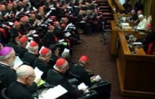 A view of the Middle East synod.   Latin Patriarchate of Jerusalem.