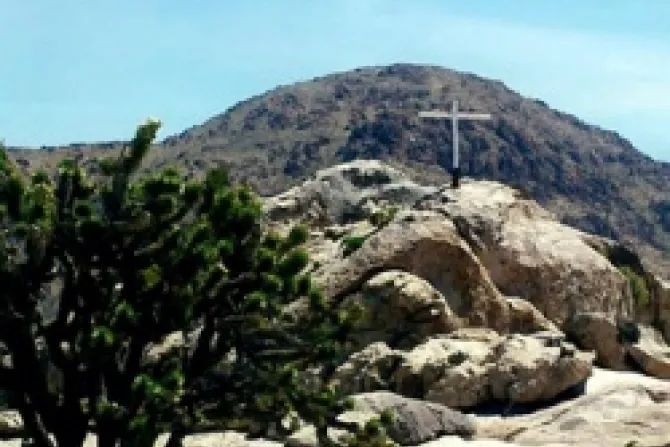 Mojave Veterans Memorial Cross Credit Liberty Institute CNA US Catholic News 11 8 12