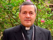 Bishop Juan Barros.  Courtesy photo, Chilean Conference of Bishops