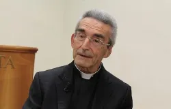 Monsignor Jacques Suaudeau speaks with CNA during a July 12 2013 interview at the Academy for Life. ?w=200&h=150