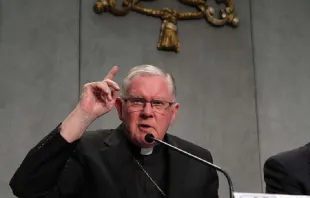 Archbishop Mark Coleridge of Brisbane speaks at a Vatican press conference, Oct. 19, 2015. Bohumil Petrik/CNA.