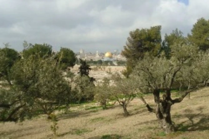 Mount of Olives CNA credit Marianne Medlin