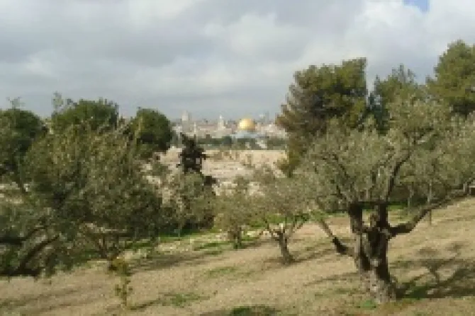 Mount of Olives CNA credit Marianne Medlin