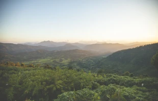 Gez Xavier Mansfield via Unsplash.