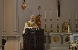 Msgr. Filardi preaches at the Mass for Marriage, June 19, 2014.   Addie Mena/CNA.