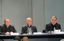 Msgr. Jose Maria Gil Tamayo, Fr. Federico Lombardi, and Fr. Thomas Rosica speak to the press on Feb. 26, 2013. ?w=200&h=150
