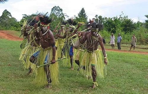 Indigenous Papuans performing a traditional dance. ?w=200&h=150