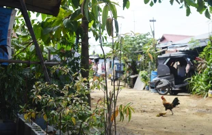 A neighborhood in Baranguay, Manila, Philippines.   Addie Mena/CNA.