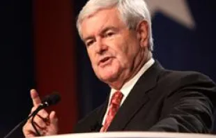 Newt Gingrich /  