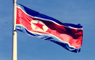 The flag of North Korea.   Katherine Welles/Shutterstock.