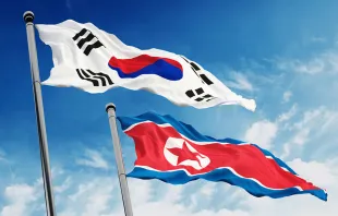 The flags of North and South Korea.   cigdem/Shutterstock.