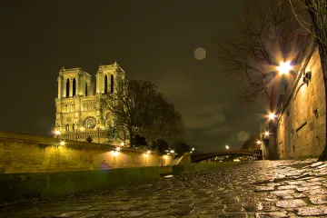 Notre Dame Cathedral Credit DBond Shutterstock CNA