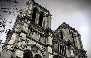 Notre-Dame de Paris.   fa73 via Flickr (CC BY NC 2.0) filteradded.