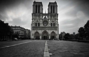 Notre-Dame de Paris.   Sacha Fernandez via Flickr (CC BY-NC-ND 2.0).