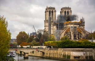 Repair scaffolding on Notre-Dame de Paris, November 2019. Vicente Sargues/Shutterstock.