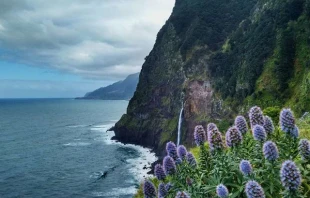 Ocean, mountains, flowers.   Unsplash.