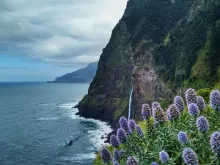 Ocean, mountains, flowers on a cliff. 