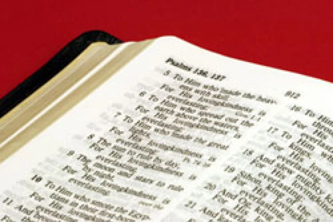 Open Bible CNA US Catholic News 2 4 11