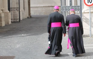 Bishops at the 2015 Synod on the Family in Rome.   Martha Calderon/CNA.