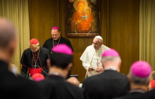 Opening Session of the Extraordinary Assembly of the Synod of Bishops at the Vatican on Oct. 6, 2014.   Mazur/catholicnews.org.uk (CC BY-NC-SA 2.0).
