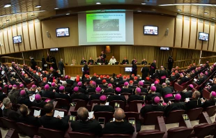 Opening Session of the Extraordinary Assembly of the Synod of Bishops at the Vatican on Oct. 6, 2014.   Mazur/catholicnews.org.uk (CC BY-NC-SA 2.0).