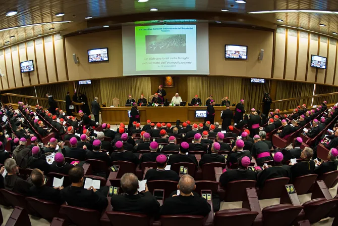 Opening Session of the Extraordinary Assembly of the Synod of Bishops at the Vatican on Oct 6 2014 Credit Mazur catholicnewsorguk CC BY NC SA 20 3 CNA 10 7 14