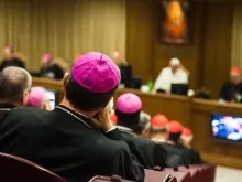 Bishops and cardinals participate in the 2014 Synod on the Family, Oct. 6, 2014. 
