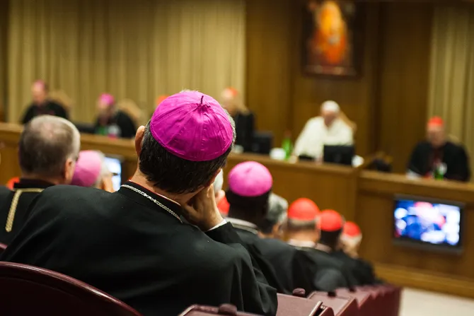 Opening Session of the Extraordinary Assembly of the Synod of Bishops at the Vatican on Oct 6 2014 Credit Mazur catholicnewsorguk CC BY NC SA 20 CNA 10 7 14