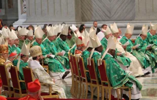 Bishops from around the world gather for the inaugural Mass of the 2014 Synod on the Family.   Petrik Bohumil/CNA.