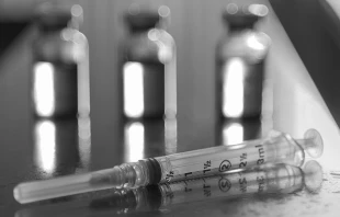 SeaRick1/Shutterstock.