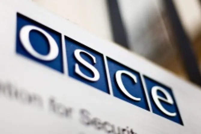 Organization for Security and Co operation in Europe Credit OSCE Curtis Budden CC BY ND 30 CNA 5 29 13
