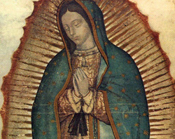 Our Lady of Guadalupe?w=200&h=150