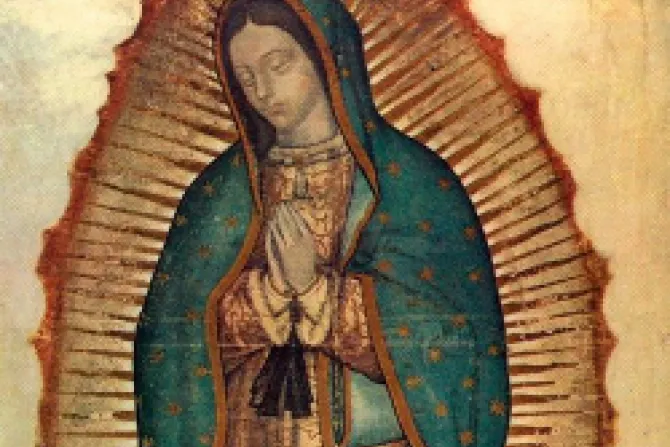 Our Lady of Guadalupe CNA