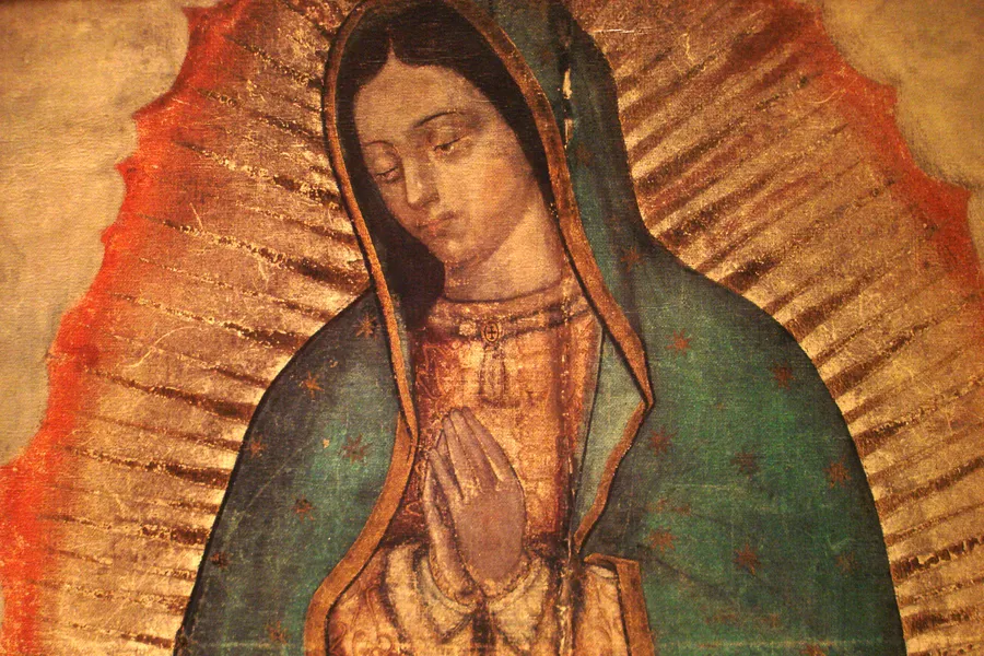 Our Lady of Guadalupe.?w=200&h=150