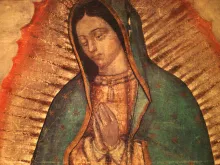 Our Lady of Guadalupe. 