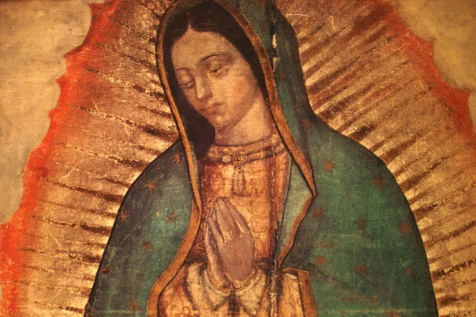 Our Lady of Guadalupe Credit Sacred Heart Cathedral Knoxville via Flickr CC BY NC 20 CNA 10 8 15