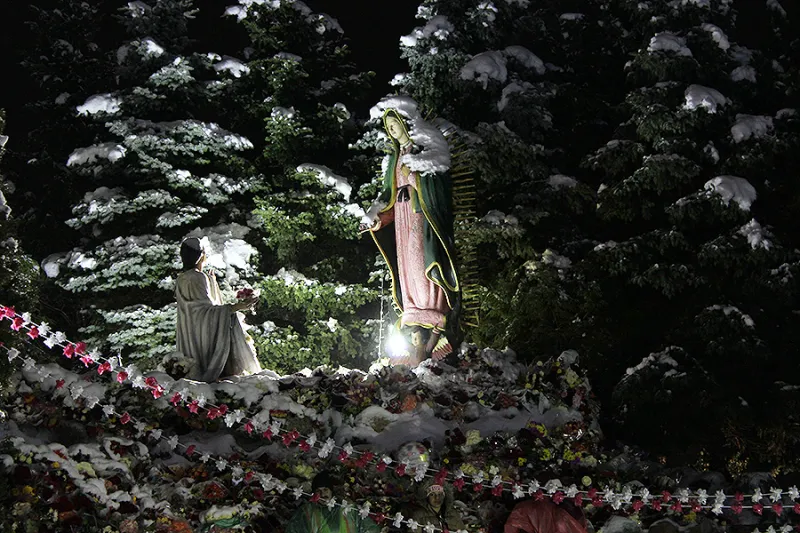 Chicago suburb is home to a major Guadalupe shrine