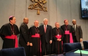Panel of participant pose for a picture in the March 25 press conference announcing the 2015 World Day of Families   Daniel Ibanez/CNA