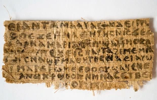 The front side of the papyrus scrap being discussed.   Professor Karen L. King.