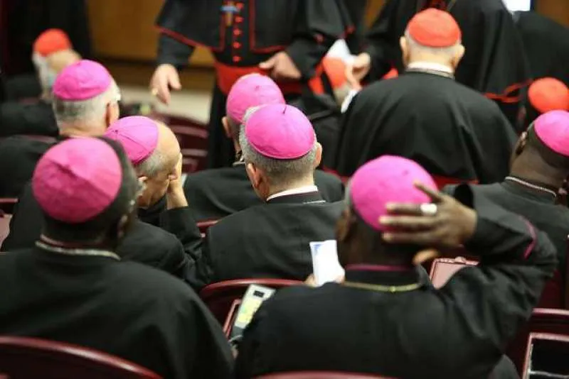 Participants in the Vatican Synod Hall during the Synod on the Family in Oct. 2014.?w=200&h=150