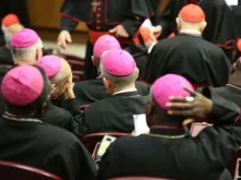 Participants in the Vatican Synod Hall during the Synod on the Family in Oct. 2014.